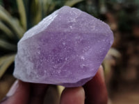 Natural Jacaranda Amethyst Single Quartz Crystals x 35 From Mumbwa, Zambia - Toprock Gemstones and Minerals