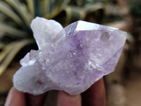 Natural Jacaranda Amethyst Single Quartz Crystals x 35 From Mumbwa, Zambia - Toprock Gemstones and Minerals
