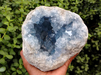 Natural Celestite Geode Specimens x 1 From Sakoany, Madagascar - Toprock Gemstones and Minerals