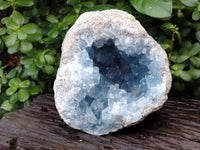 Natural Celestite Geode Specimens x 1 From Sakoany, Madagascar - Toprock Gemstones and Minerals