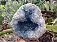 Natural Celestite Geode Specimens x 1 From Sakoany, Madagascar - Toprock Gemstones and Minerals