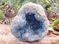 Natural Celestite Geode Specimens x 1 From Sakoany, Madagascar - Toprock Gemstones and Minerals