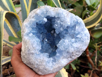 Natural Celestite Geode Specimens x 1 From Sakoany, Madagascar - Toprock Gemstones and Minerals