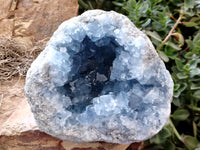 Natural Celestite Geode Specimens x 1 From Sakoany, Madagascar - Toprock Gemstones and Minerals