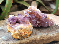 Natural Dark Amethyst Spirit Quartz Clusters x 12 From Boekenhouthoek, South Africa - Toprock Gemstones and Minerals
