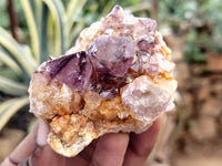 Natural Dark Amethyst Spirit Quartz Clusters x 12 From Boekenhouthoek, South Africa - Toprock Gemstones and Minerals