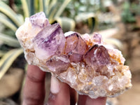 Natural Dark Amethyst Spirit Quartz Clusters x 12 From Boekenhouthoek, South Africa - Toprock Gemstones and Minerals
