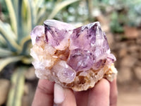 Natural Dark Amethyst Spirit Quartz Clusters x 12 From Boekenhouthoek, South Africa - Toprock Gemstones and Minerals