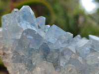 Natural Celestite Geode Clusters x 3 From Sakoany, Madagascar - Toprock Gemstones and Minerals