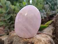 Polished Rose Quartz Standing Free Forms x 6 From Ambatondrazaka, Madagascar - Toprock Gemstones and Minerals