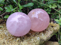 Polished Rose Quartz Spheres x 4 From Ambatondrazaka, Madagascar - Toprock Gemstones and Minerals
