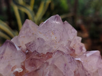 Natural Dark Amethyst Spirit Quartz Clusters x 2 From Boekenhouthoek, South Africa - Toprock Gemstones and Minerals