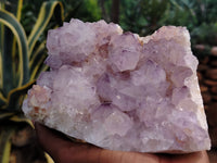 Natural Dark Amethyst Spirit Quartz Clusters x 2 From Boekenhouthoek, South Africa - Toprock Gemstones and Minerals