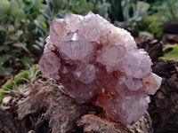 Natural Dark Amethyst Spirit Quartz Clusters x 2 From Boekenhouthoek, South Africa - Toprock Gemstones and Minerals