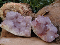 Natural Dark Amethyst Spirit Quartz Clusters x 2 From Boekenhouthoek, South Africa - Toprock Gemstones and Minerals