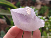Natural Jacaranda Amethyst Single Quartz Crystals x 24 From Mumbwa, Zambia - Toprock Gemstones and Minerals