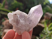 Natural Jacaranda Amethyst Single Quartz Crystals x 24 From Mumbwa, Zambia - Toprock Gemstones and Minerals