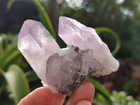 Natural Jacaranda Amethyst Single Quartz Crystals x 24 From Mumbwa, Zambia - Toprock Gemstones and Minerals