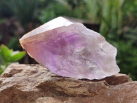 Natural Jacaranda Amethyst Single Quartz Crystals x 24 From Mumbwa, Zambia - Toprock Gemstones and Minerals