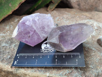 Natural Jacaranda Amethyst Single Quartz Crystals x 24 From Mumbwa, Zambia - Toprock Gemstones and Minerals