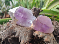 Natural Jacaranda Amethyst Single Quartz Crystals x 24 From Mumbwa, Zambia - Toprock Gemstones and Minerals