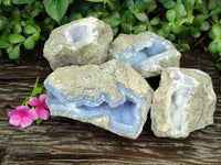 Natural Blue Lace Agate Geode Specimens x 4 From Nsanje, Malawi - Toprock Gemstones and Minerals