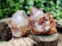 Natural Amethyst Spirit Quartz Crystals x 12 From Boekenhouthoek, South Africa - Toprock Gemstones and Minerals