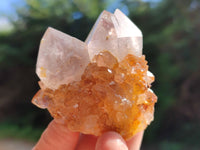 Natural Amethyst Spirit Quartz Crystals x 12 From Boekenhouthoek, South Africa - Toprock Gemstones and Minerals