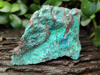 Natural Shattuckite with Chrysocolla and Malachite x 12 From Kaokoveld, Namibia - Toprock Gemstones and Minerals