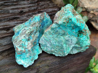 Natural Shattuckite with Chrysocolla and Malachite x 12 From Kaokoveld, Namibia - Toprock Gemstones and Minerals