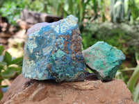 Natural Shattuckite with Chrysocolla and Malachite x 12 From Kaokoveld, Namibia - Toprock Gemstones and Minerals