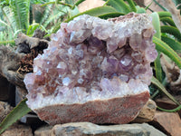 Natural Jacaranda Amethyst Quartz Cluster x 1 From Mumbwa, Zambia - Toprock Gemstones and Minerals