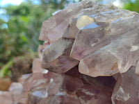 Natural Jacaranda Amethyst Quartz Cluster x 1 From Mumbwa, Zambia - Toprock Gemstones and Minerals