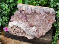 Natural Jacaranda Amethyst Quartz Cluster x 1 From Mumbwa, Zambia - Toprock Gemstones and Minerals