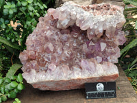 Natural Jacaranda Amethyst Quartz Cluster x 1 From Mumbwa, Zambia - Toprock Gemstones and Minerals