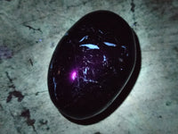 Polished Black Tourmaline Palm Stones x 16 From Madagascar - Toprock Gemstones and Minerals