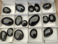 Polished Black Tourmaline Palm Stones x 16 From Madagascar - Toprock Gemstones and Minerals