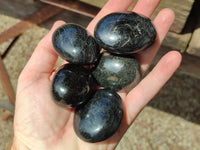 Polished Black Tourmaline Palm Stones x 16 From Madagascar - Toprock Gemstones and Minerals