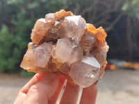 Natural Dark Amethyst Spirit Quartz Clusters x 6 From Boekenhouthoek, South Africa - Toprock Gemstones and Minerals