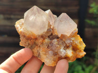 Natural Dark Amethyst Spirit Quartz Clusters x 6 From Boekenhouthoek, South Africa - Toprock Gemstones and Minerals