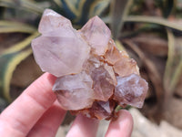 Natural Dark Amethyst Spirit Quartz Clusters x 6 From Boekenhouthoek, South Africa - Toprock Gemstones and Minerals
