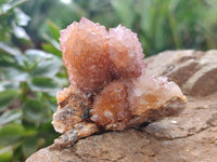 Natural  Amethyst Fairy Spirit Quartz Clusters x 12 From South Africa - Toprock Gemstones and Minerals