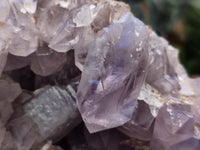 Natural Jacaranda Amethyst Quartz Cluster x 1 From Mumbwa, Zambia - Toprock Gemstones and Minerals