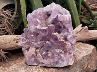 Natural Jacaranda Amethyst Quartz Cluster x 1 From Mumbwa, Zambia - Toprock Gemstones and Minerals