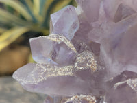 Natural Jacaranda Amethyst Quartz Cluster x 1 From Mumbwa, Zambia - Toprock Gemstones and Minerals