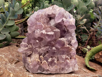 Natural Jacaranda Amethyst Quartz Cluster x 1 From Mumbwa, Zambia - Toprock Gemstones and Minerals