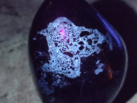 Polished Black Tourmaline Standing Free Form x 1 From Madagascar - Toprock Gemstones and Minerals