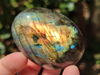 Polished Labradorite Palm Stones x 27 From Tulear, Madagascar - Toprock Gemstones and Minerals