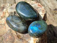 Polished Labradorite Palm Stones x 27 From Tulear, Madagascar - Toprock Gemstones and Minerals
