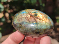 Polished Labradorite Palm Stones x 27 From Tulear, Madagascar - Toprock Gemstones and Minerals